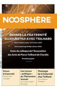 NOOSPHERE N 27 - PENSER LA FRATERNITE AUJOURD'HUI AVEC TEILHARD - ACTES DU COLLOQUE DE L'ASSOCIATION