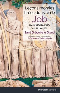 LECONS MORALES TIREES DU LIVRE DE JOB - T07 - LECONS MORALES TIREES DU LIVRE DE JOB - LIVRES XXVIII