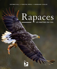 RAPACES - LES MAITRES DU CIEL