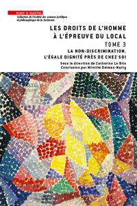Les droits de l'homme à l'épreuve du local - Tome 3
