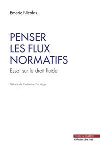 PENSER LES FLUX NORMATIFS - ESSAI SUR LE DROIT FLUIDE. PREFACE DE CATHERINE THIBIERGE