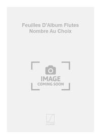 FEUILLES D'ALBUM FLUTES NOMBRE AU CHOIX FLUTE TRAVERSIERE
