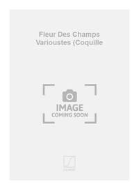 FLEUR DES CHAMPS VARIOUSTES (COQUILLE CHANT