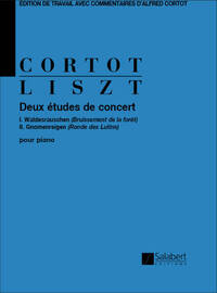 DEUX ETUDES DE CONCERT PIANO