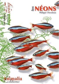 LES NEONS - HEMIGRAMMUS ERYTHROZONUS, HYPHESSOBRYCON HERBERTAXELRODI, PARACHEIRODON SPP