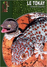 Le tokay, gekko, gecko