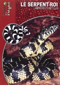 Le serpent-roi - Lampropeltis getula