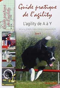 L'AGILITY DE A A Y