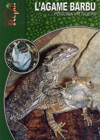 L'AGAME BARBU - POGONA VITTICEPS