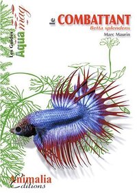 Le combattant - Betta splendens