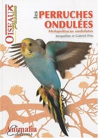 Les perruches ondulées - Melopsittacus undulatus