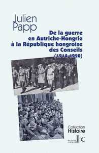 De l'Autriche-Hongrie en guerre à la République hongroise des Conseils (1914-1920)