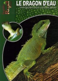 LE DRAGON D'EAU - PHYSIGNATHUS COCINCINUS