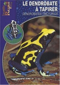 Le dendrobate à tapirer - Dendrobates tinctorius