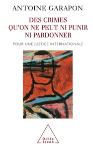 DES CRIMES QU'ON NE PEUT NI PUNIR NI PARDONNER - POUR UNE JUSTICE INTERNATIONALE