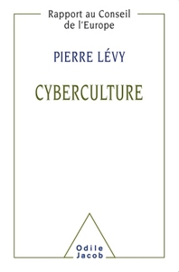 CYBERCULTURE - RAPPORT AU CONSEIL DE L'EUROPE