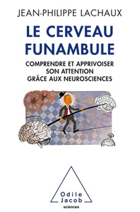 Le Cerveau funambule