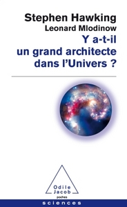 Y a t - il un grand architecte dans l'Univers?