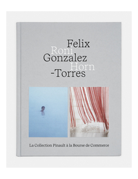 FELIX GONZALEZ-TORRES RONI HORN - EDITION BILINGUE - ILLUSTRATIONS, COULEUR