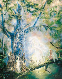 RENAISSANCE  PAQUET DE 6 CART