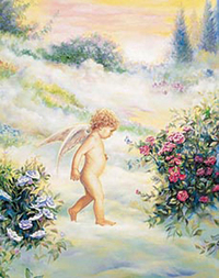 LE PETIT ANGE PAQUET DE 6 CAR