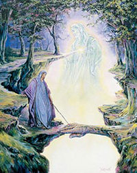 LA VOIE DU COEUR PAQUET DE 6