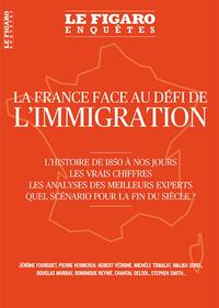 LA FRANCE FACE AU DEFI DE L'IMMIGRATION - L'HISTOIRE DE 1850 A NOS JOURS. LES VRAIS CHIFFRES. LES AN