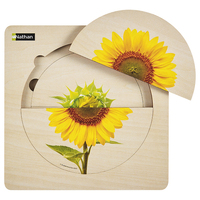 Puzzle Cycle de vie - Tournesol