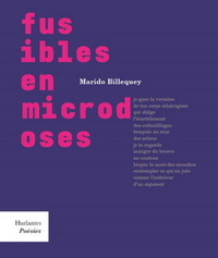 FUSIBLES EN MICRODOSES