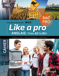 Anglais « Like a Pro » - Cahier d'activités 1re et Tle Bac pro - MG3