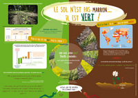 Sol n'est pas marron... Il est vert ! (Le)