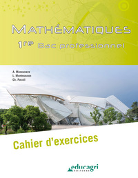 MATHEMATIQUES - 1RE BAC PROFESSIONNEL : CAHIER D'EXERCICES