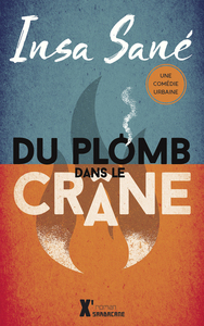 Du plomb dans le crâne