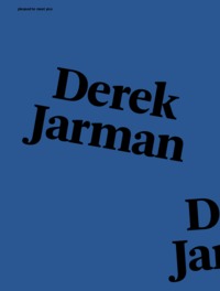 PLEASED TO MEET YOU : DEREK JARMAN