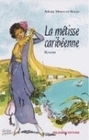 La métisse caribéenne - roman