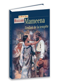 Mameena, l'enfant de la tempête - roman