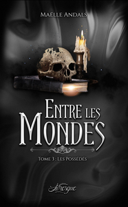 ENTRE LES MONDES, TOME 3 - LES POSSEDES