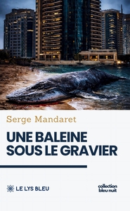 UNE BALEINE SOUS LE GRAVIER