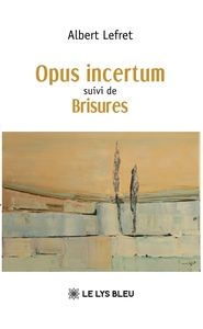 Opus incertum suivi de  Brisures