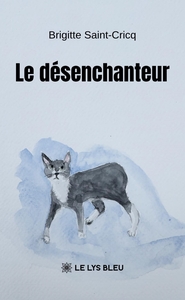 LE DESENCHANTEUR