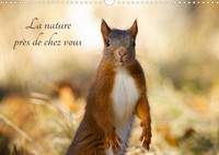 LA NATURE PRES DE CHEZ VOUS (CALENDRIER MURAL 2022 DIN A3 HORIZONTAL) - LES ANIMAUX PRES DE CHEZ SOI