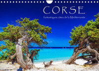 CORSE - FANTASTIQUES COTES DE LA MEDITERRANEE (CALENDRIER MURAL 2022 DIN A4 HORIZONTAL) - ETE, SOLEI