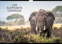 ELEPHANTS D'AFRIQUE (CALENDRIER MURAL 2022 DIN A4 HORIZONTAL) - 12 MOIS AVEC LES ELEPHANTS (CALENDRI