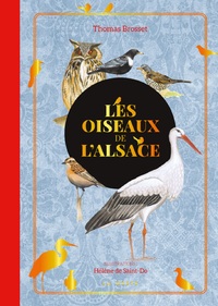 LES OISEAUX DE L'ALSACE