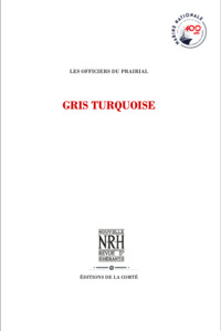 GRIS TURQUOISE