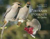 PORTRAITS D'OISEAUX DU QUEBEC