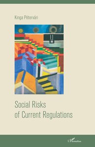 Social Risks of Current Regulations