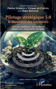 Pilotage stratégique 5.0 et durabilité des territoires