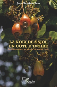 La noix de cajou en Côte d'Ivoire