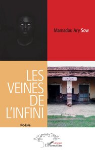 LES VEINES DE L'INFINI